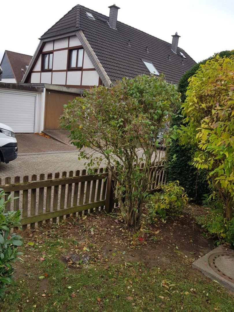 Gartenpflege