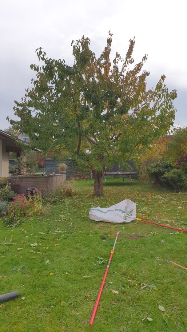 Gartenpflege