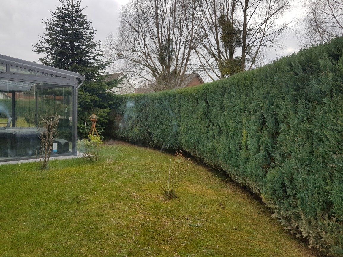 Gartenpflege