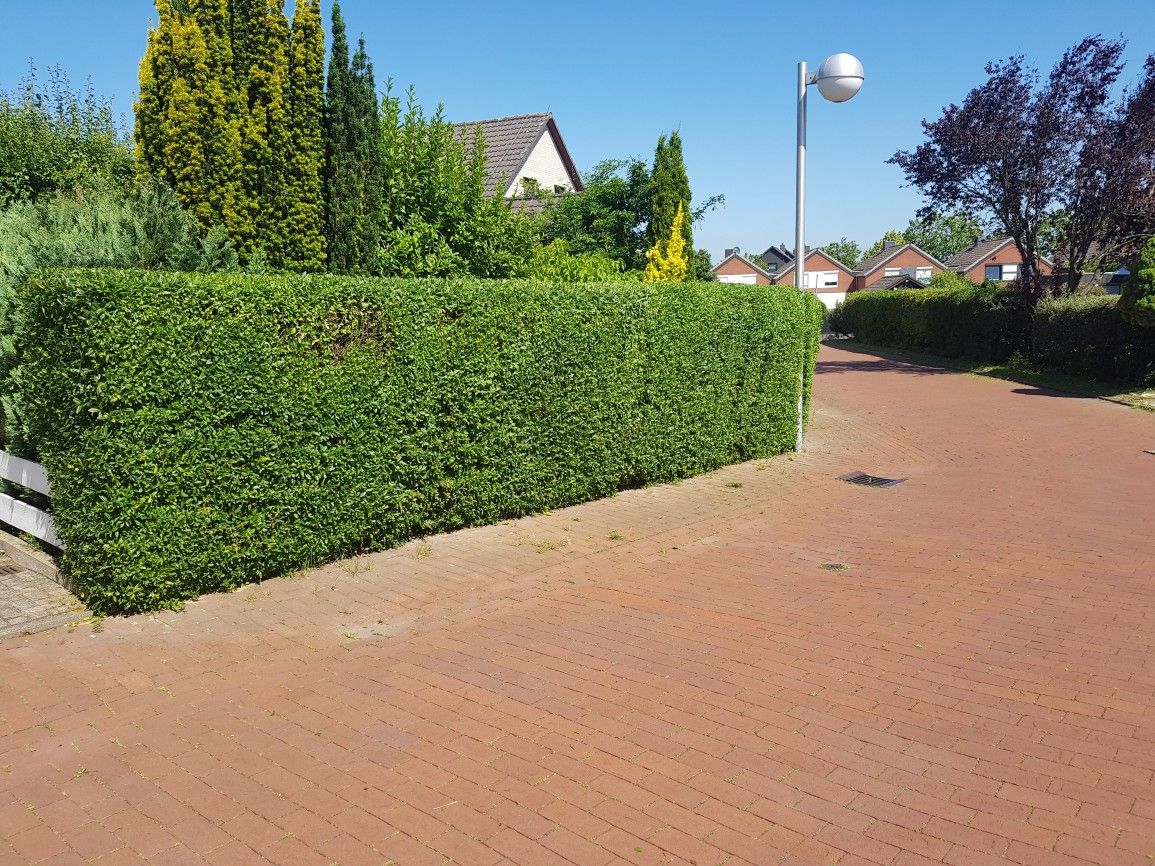 Gartenpflege