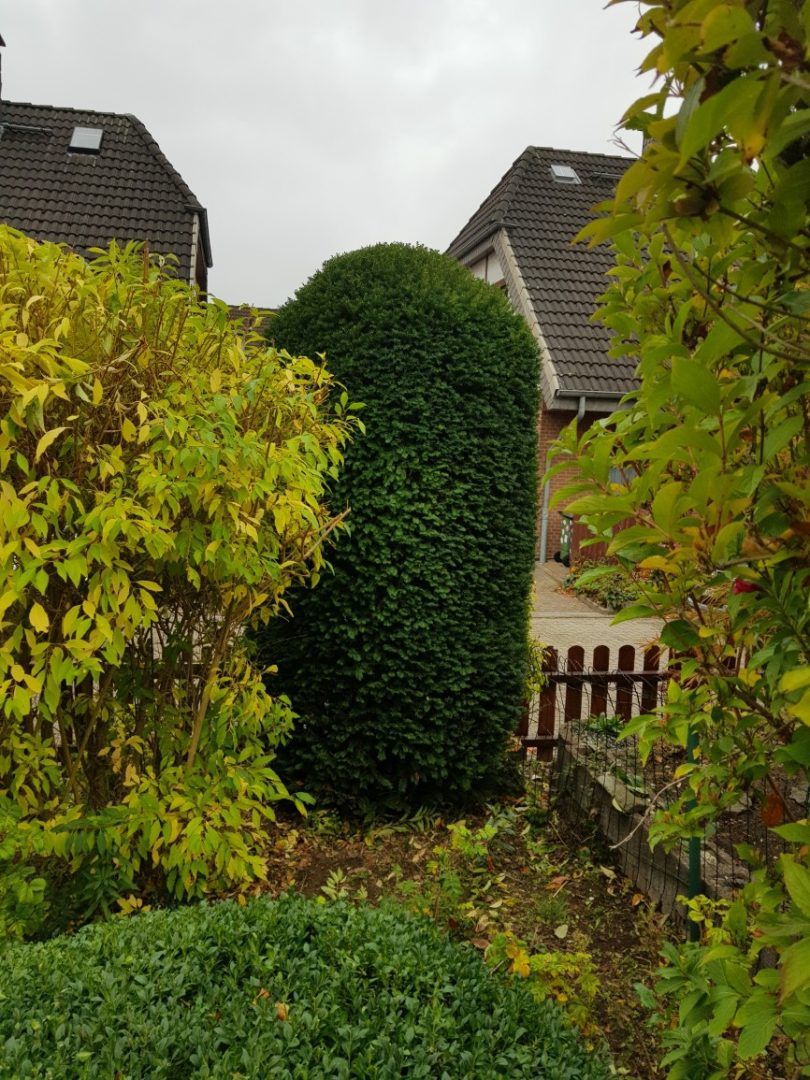 Gartenpflege