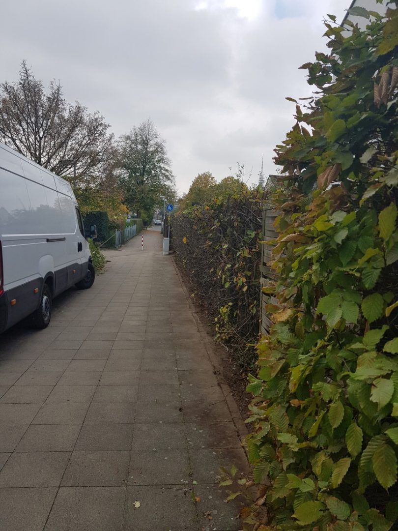 Gartenpflege