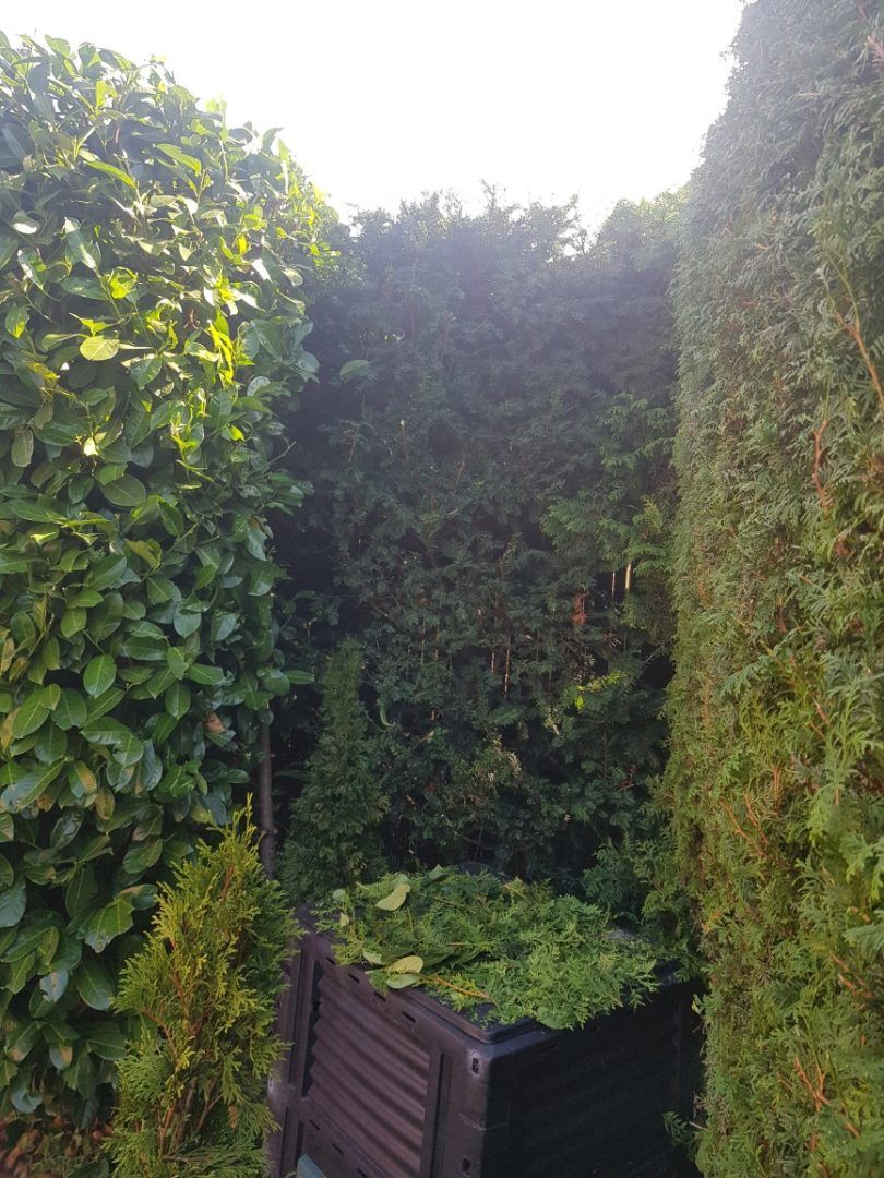 Gartenpflege