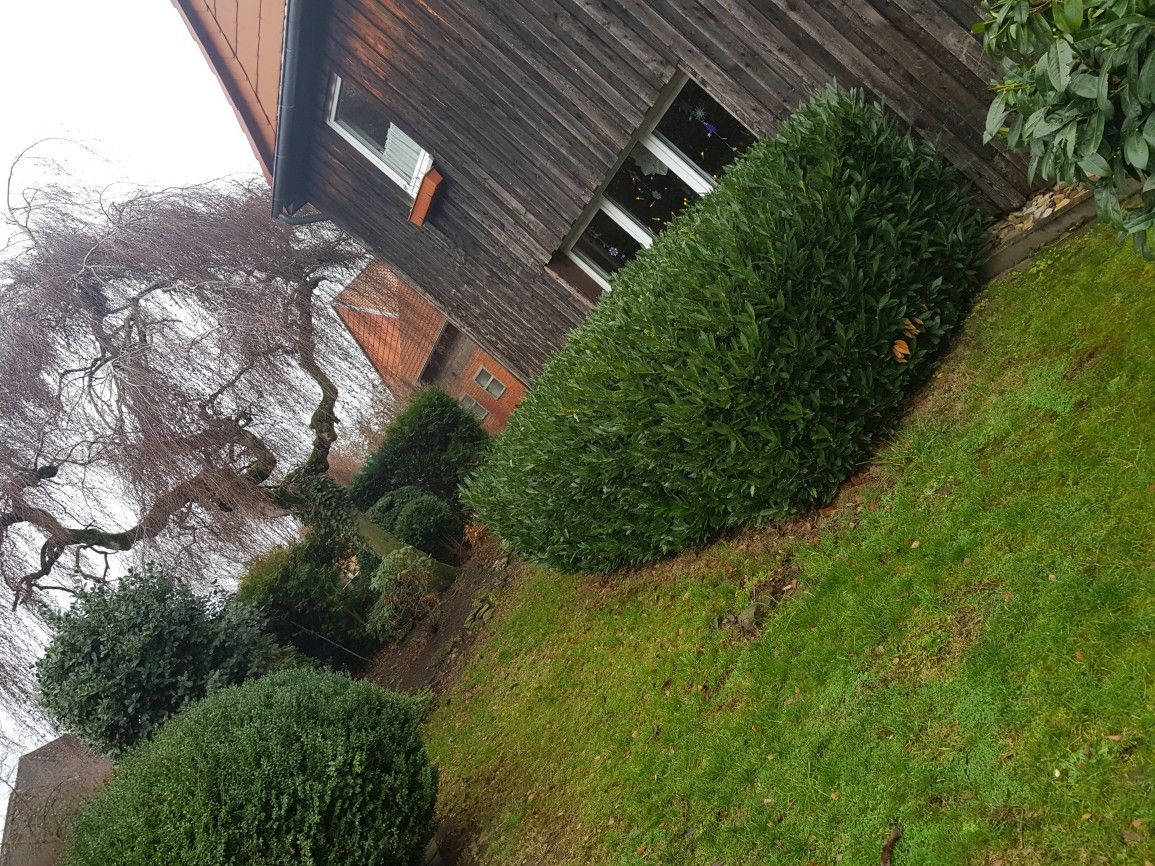 Gartenpflege
