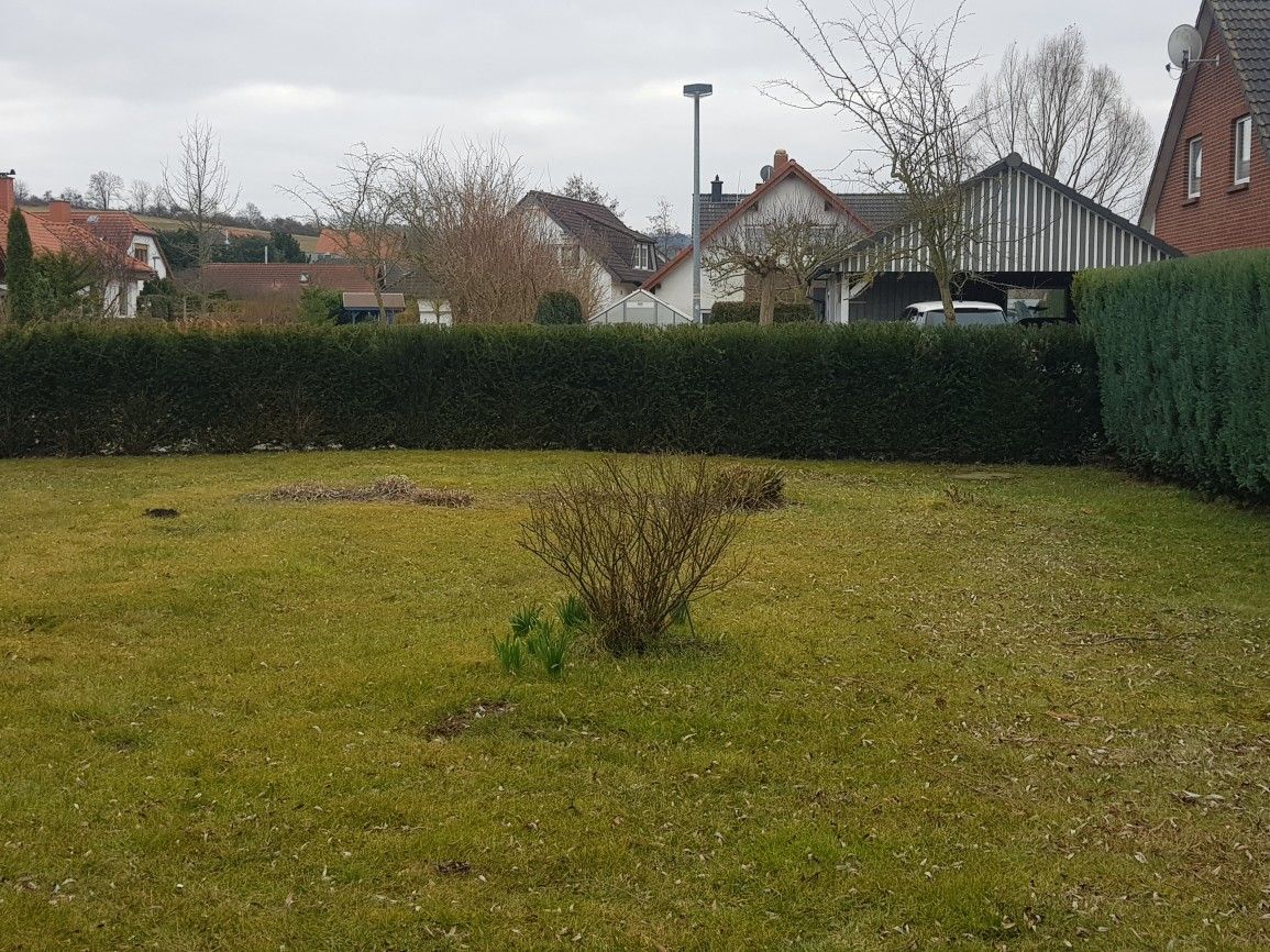 Gartenpflege
