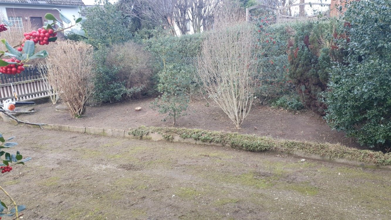 Gartenpflege