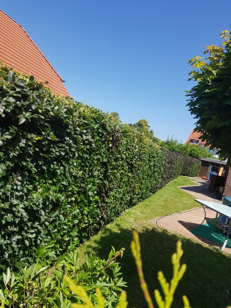 Gartenpflege