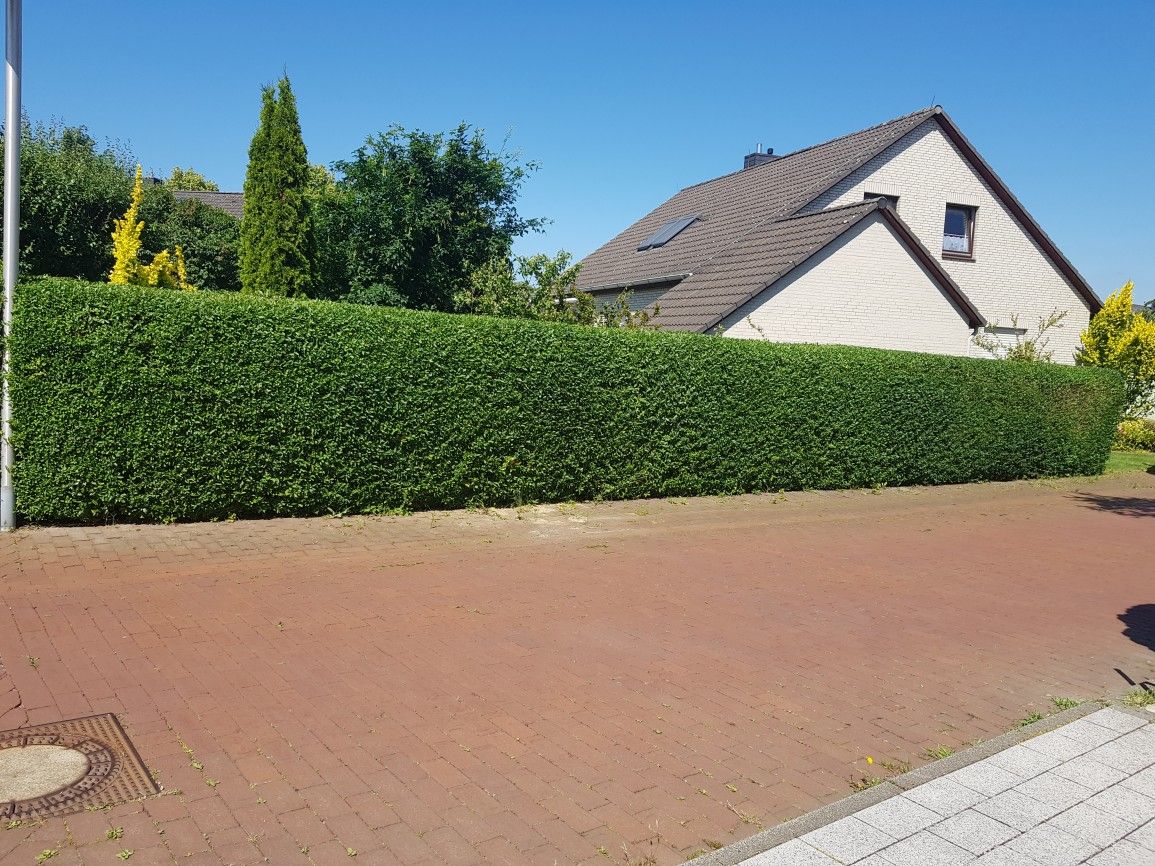 Gartenpflege