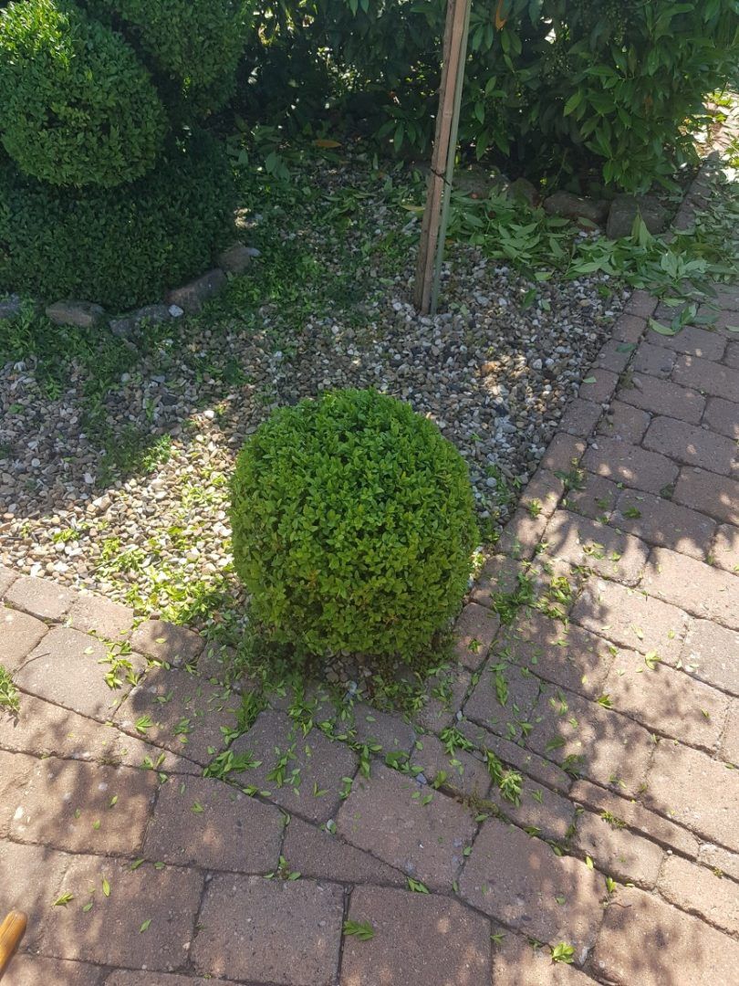Gartenpflege