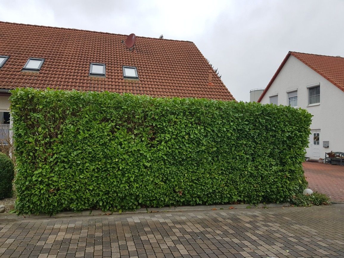 Gartenpflege