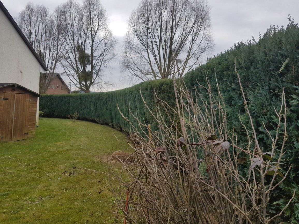 Gartenpflege