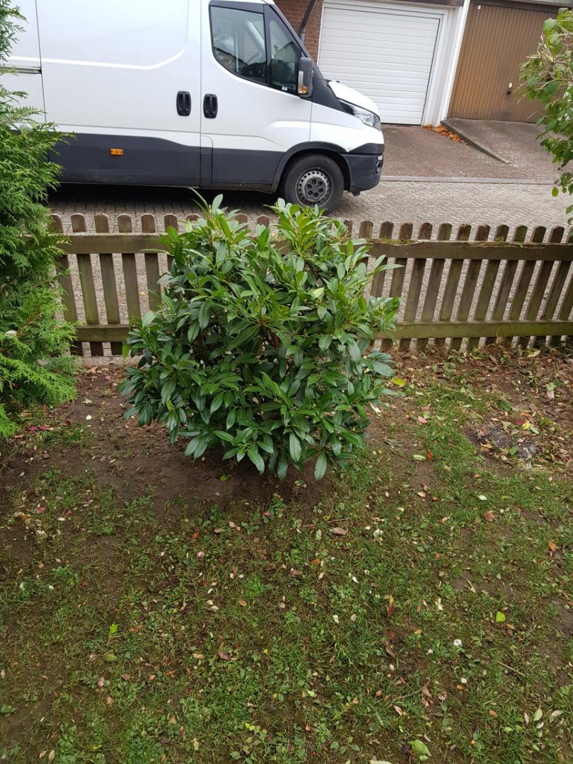 Gartenpflege