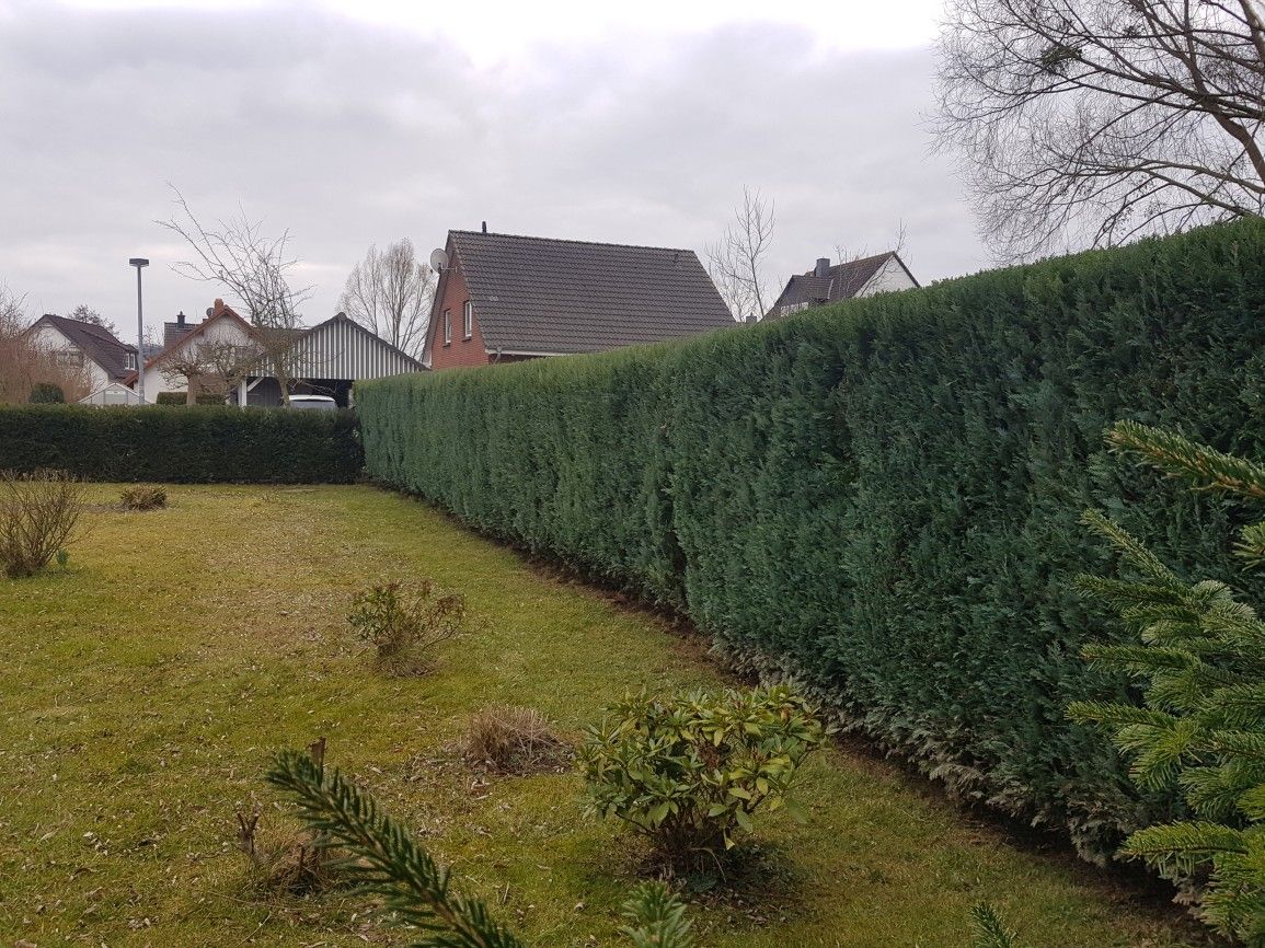 Gartenpflege