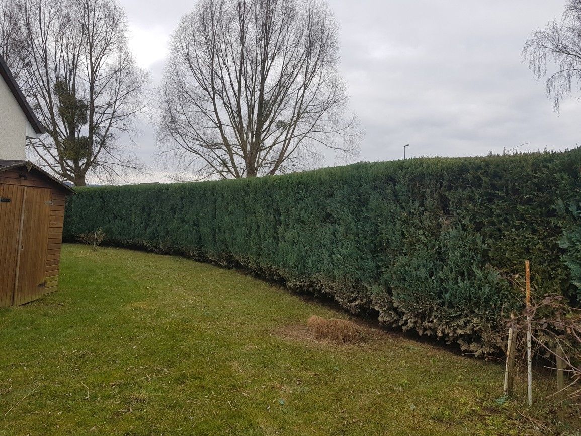 Gartenpflege