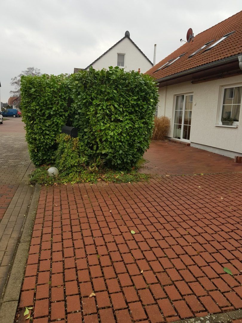 Gartenpflege