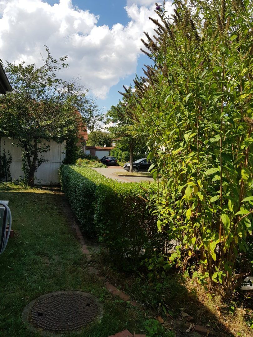 Gartenpflege