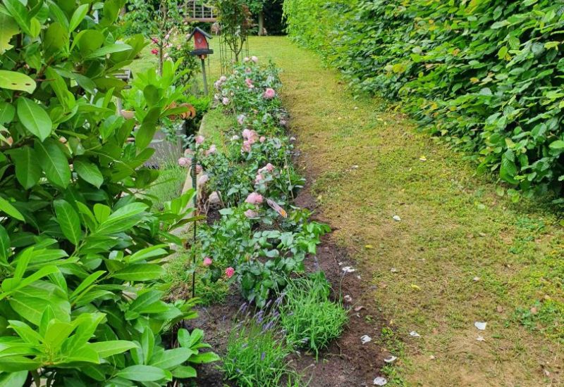 Gartengestaltung