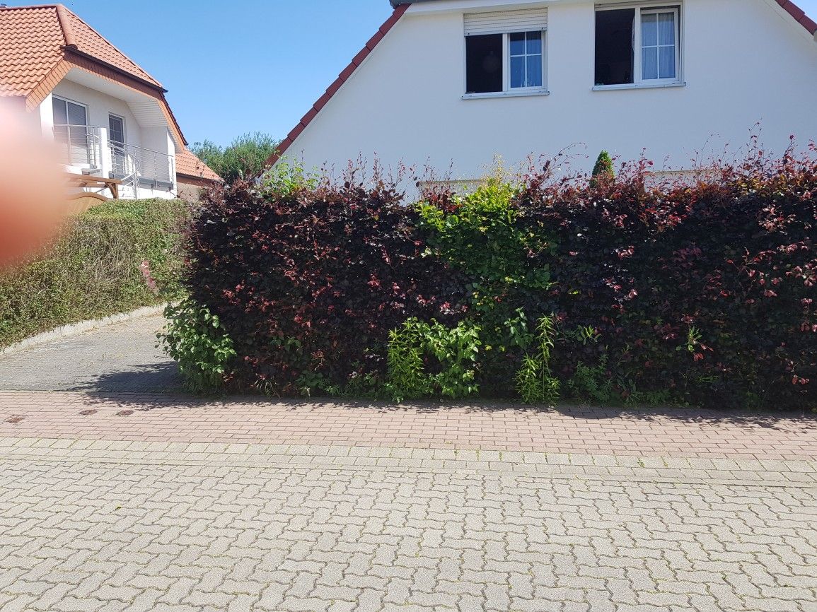 Gartenpflege