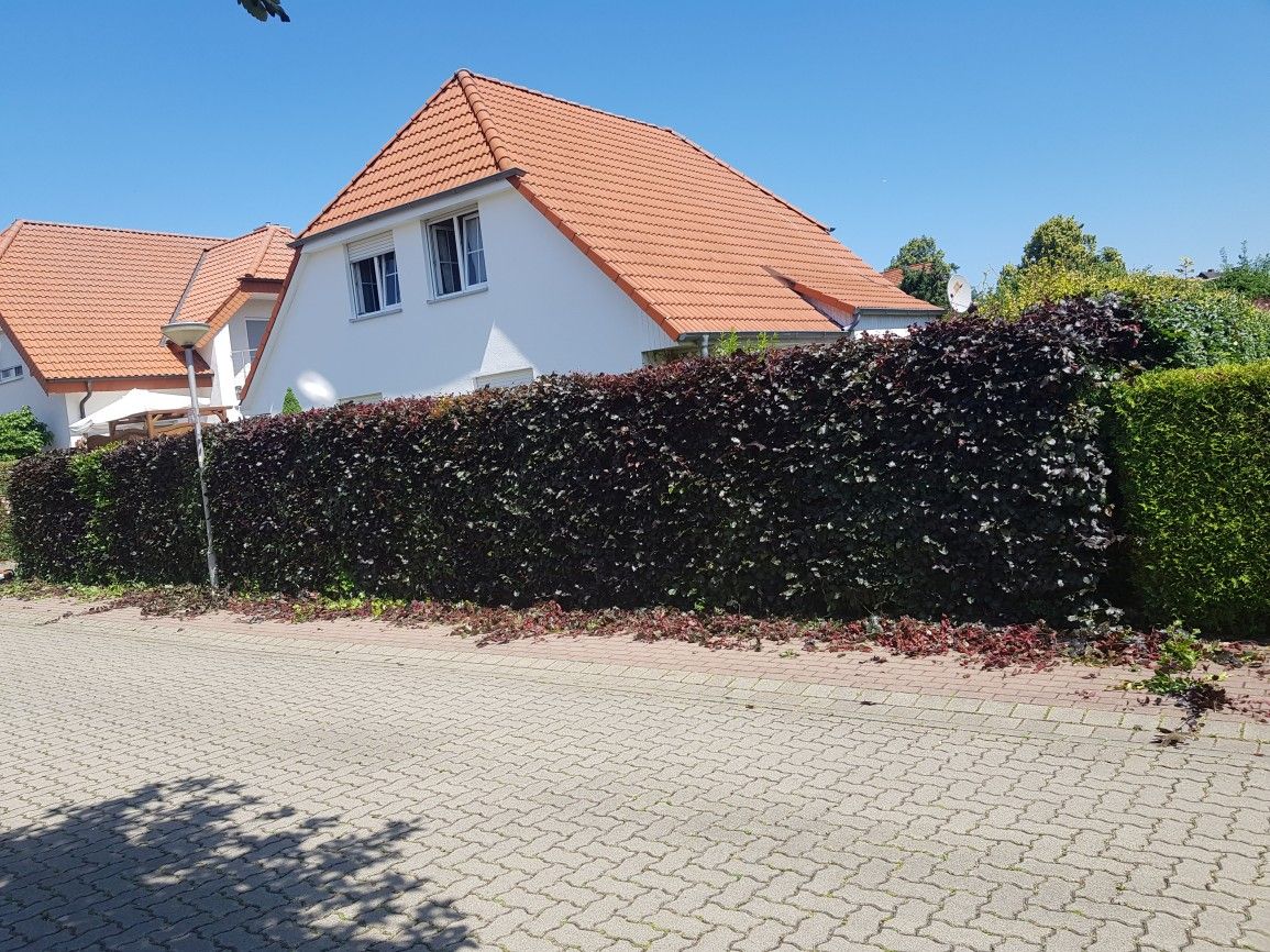 Heckenschnitt