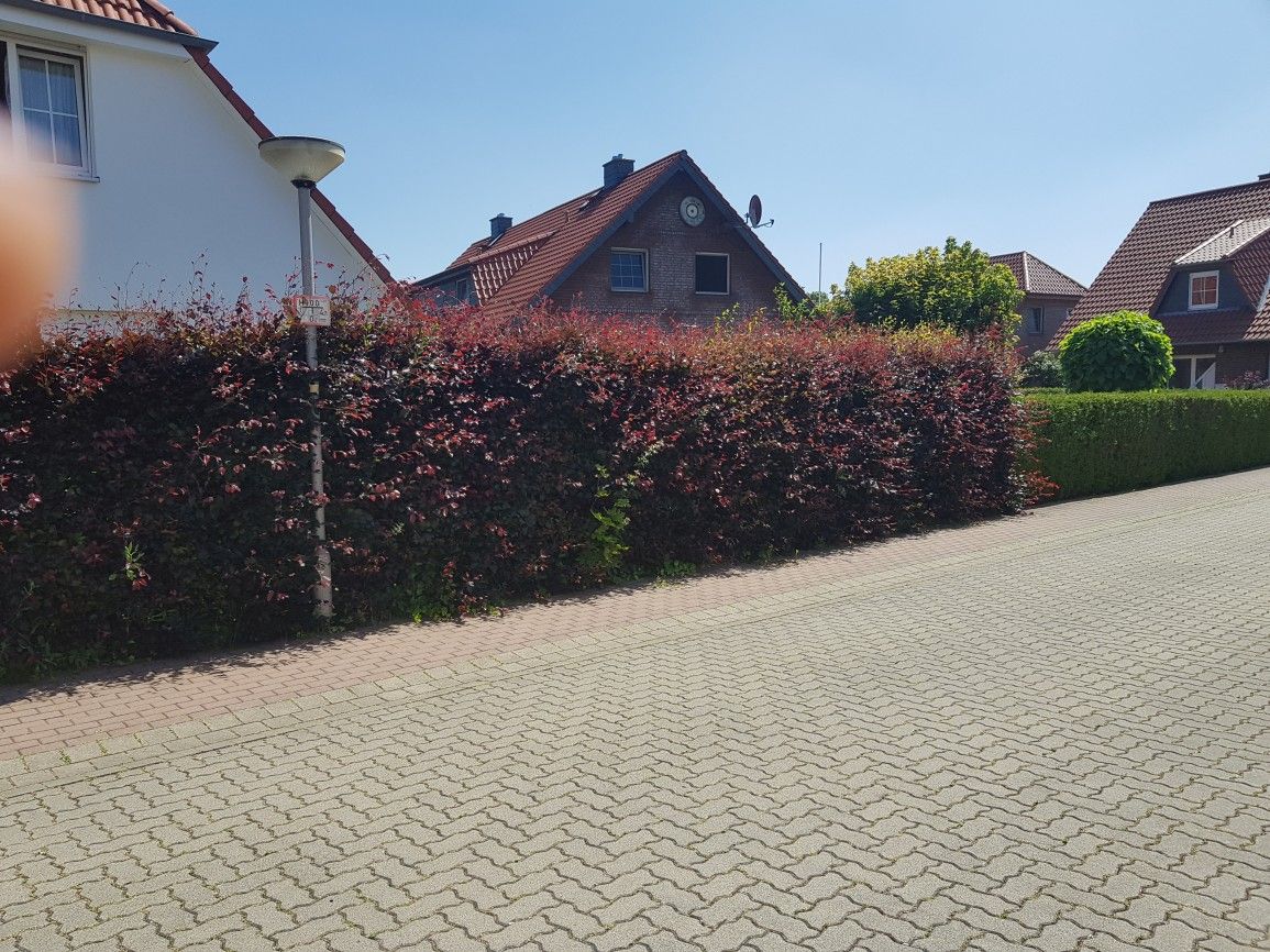 Gartenpflege