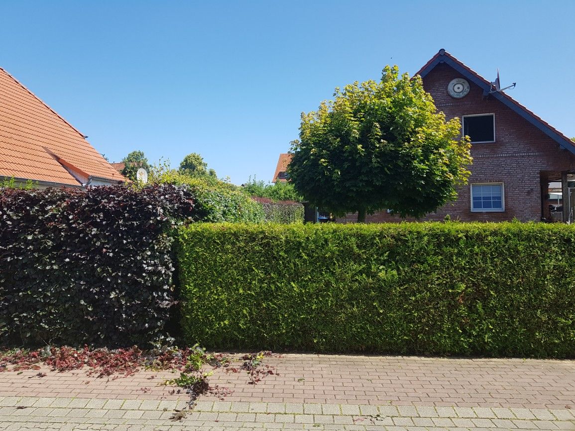 Gartenpflege