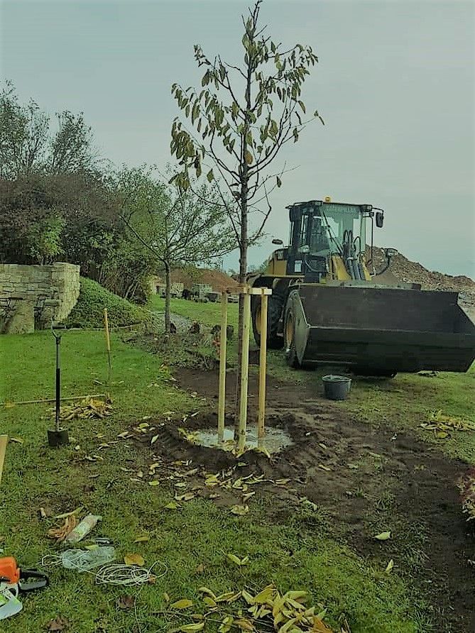 Obstbaumschnitt