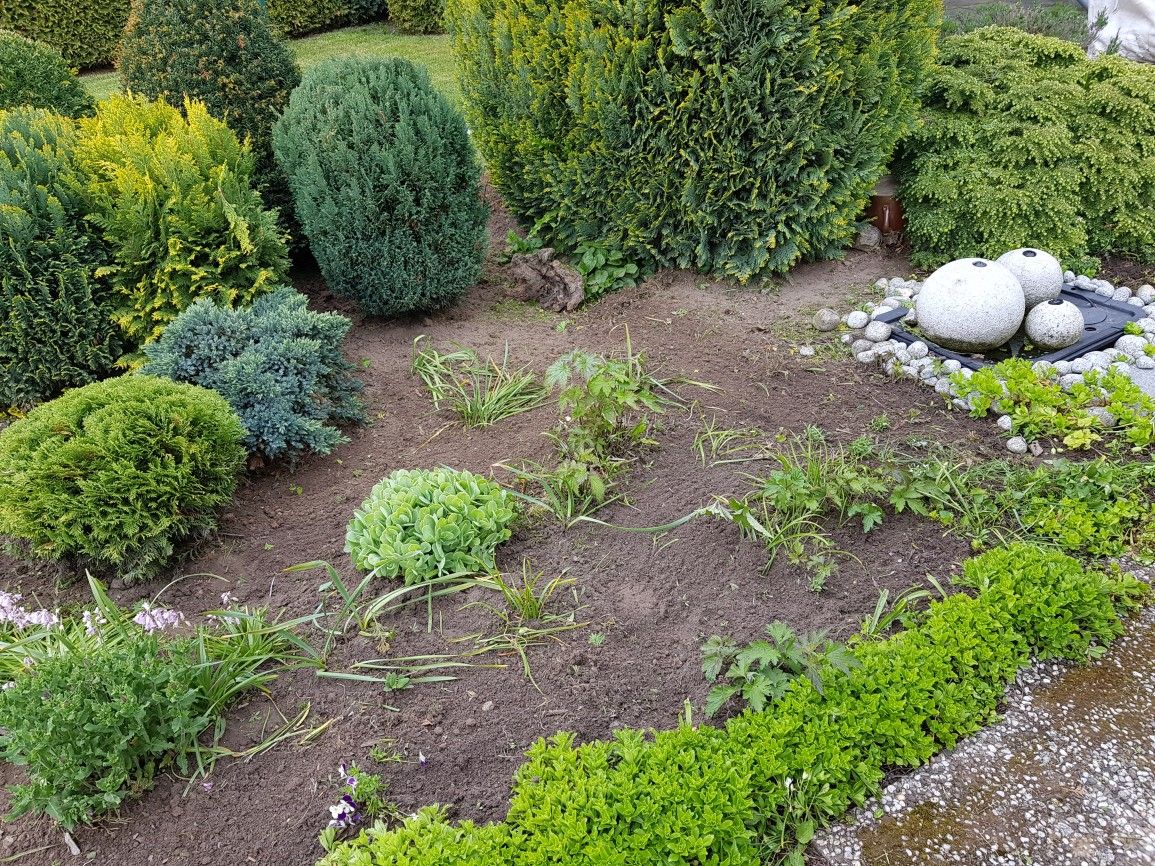 Gartenpflege
